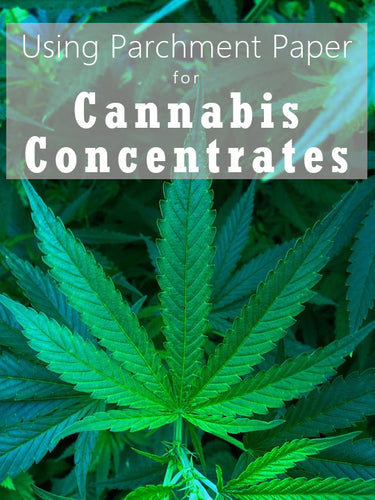 Using Parchment Paper for Cannabis Concentrates